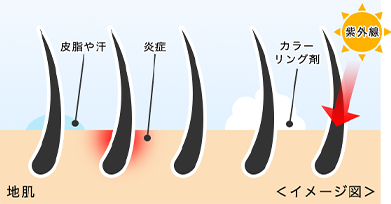 炎症をおこす主な原因・間違ったシャンプーの仕方、紫外線、乾燥・カラーリング剤や汗によるかぶれ・アンバランスな食生活やストレスなど