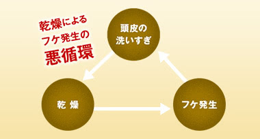 「フケが気になるから、念入りにシャンプー」は逆効果。頭皮に必要な油分まで落とされ、頭皮が乾燥してしまう恐れがあります。