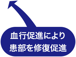 血行促進により患部を修復促進