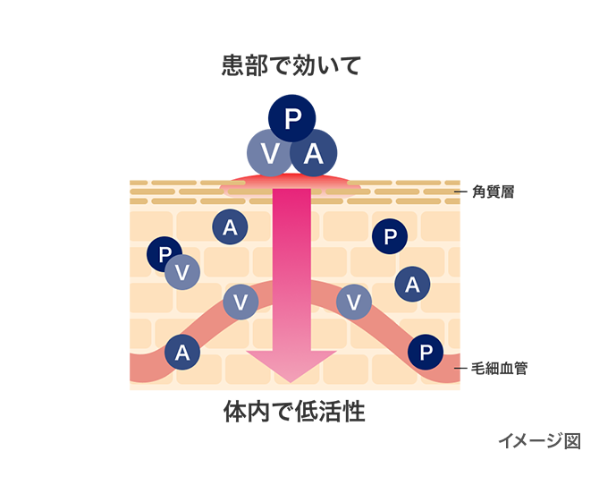アンテドラッグステロイドは、患部でよく効き体内で分解する、治療効果と安全性の両立を目的として開発された抗炎症成分です