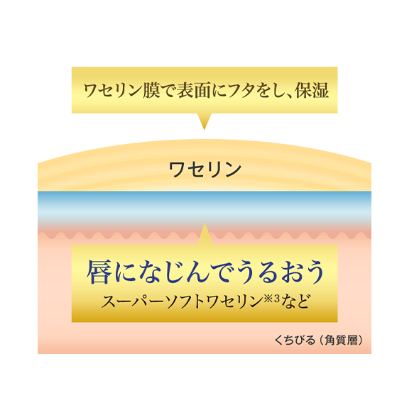 プレミアムメルティクリームリップはリッチワセリン処方※1を採用。高密着で落ちにくく※2塗りたてのうるおいがずっと続く。※1：メルティクリームリップシリーズ内でワセリン（うるおい成分）配合量が多いこと※2：メルティクリームリップシリーズ内※3：ワセリン（うるおい成分）の一部に使用