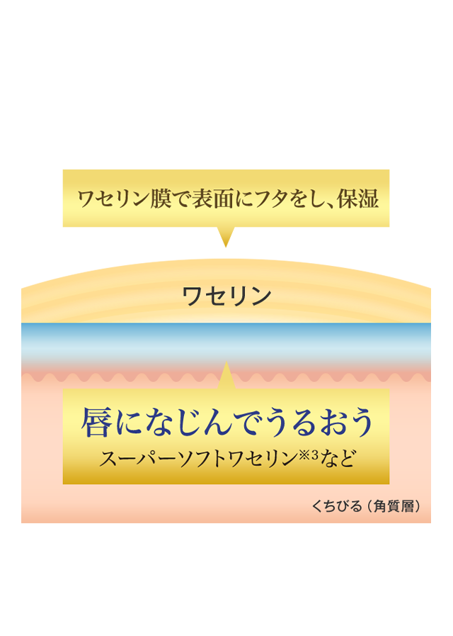 プレミアムメルティクリームリップはリッチワセリン処方※1を採用。高密着で落ちにくく※2塗りたてのうるおいがずっと続く。※1：メルティクリームリップシリーズ内でワセリン（うるおい成分）配合量が多いこと※2：メルティクリームリップシリーズ内※3：ワセリン（うるおい成分）の一部に使用