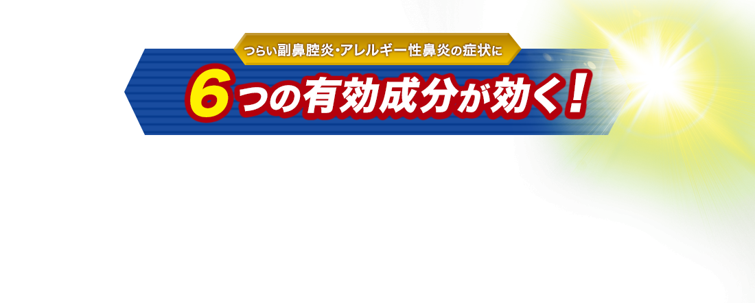 つらい副鼻腔炎・アレルギー性鼻炎の症状に６つの有効成分が効く！