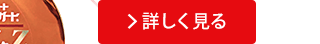 詳しく見る