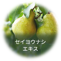 セイヨウナシエキス