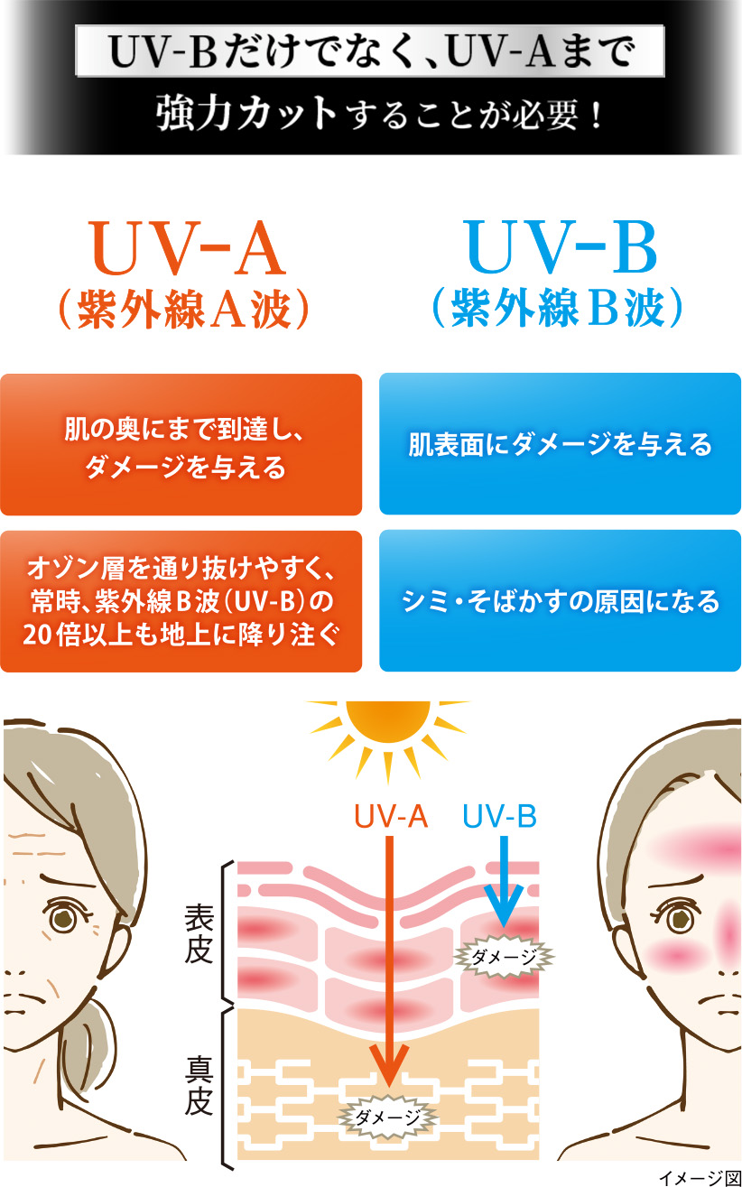 紫外線について詳しい説明