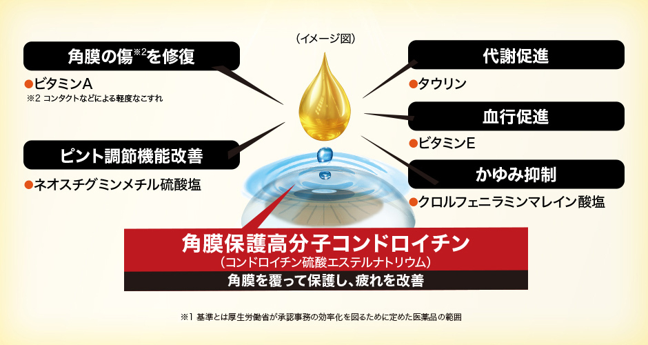 角膜保護高分子コンドロイチン（コンドロイチン硫酸エステルナトリウム）角膜を覆って保護し、疲れを改善