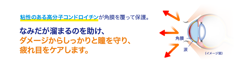 粘性のある高分子コンドロイチンが角膜を覆って保護。なみだが溜まるのを助け、ダメージからしっかりと瞳を守ります。