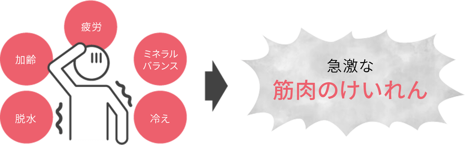 脱水・加齢・疲労・ミネラルバランス・冷え→急激な筋肉のけいれん