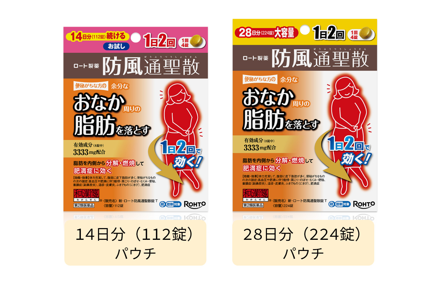 新・ロート防風通聖散錠T