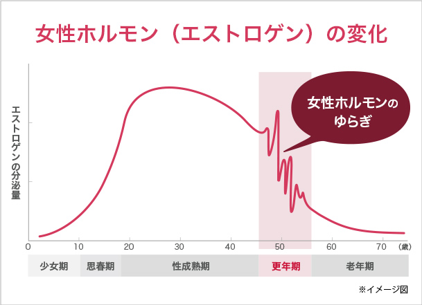 女性ホルモン（エストロゲン）の変化