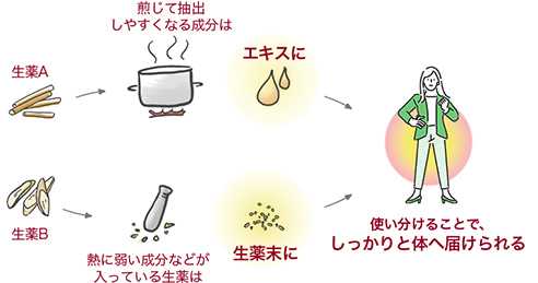 【生薬A → 煎じて抽出しやすくなる成分は → エキスに】【生薬B → 熱に弱い成分などが入っている生薬は → 生薬末に】使い分けることで、しっかりと体へ届けられる