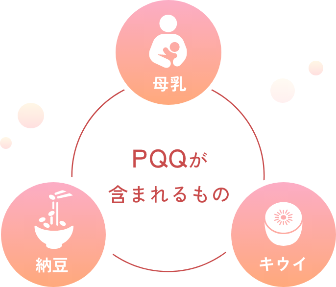 PQQが含まれるもの 母乳/納豆/キウイ