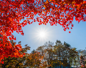 當心不經意間的皮膚老化！不容小覷的秋冬紫外線