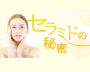 乾燥肌を建て直す？！“セラミド”の知られざる秘密に迫る！