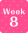 week8