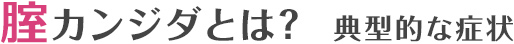 腟カンジダとは？  典型的な症状