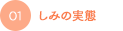 しみの実態