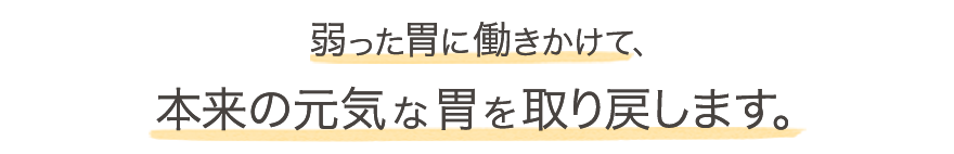 弱った胃に働きかけて、本来の元気な胃を取り戻します。