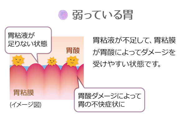 弱っている胃：胃粘液が不足して、胃粘膜が胃酸によってダメージを受けやすい状態です。(胃粘液が足りない状態)(胃酸ダメージによって胃の不快症状に)