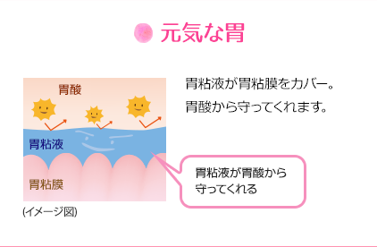 元気な胃：胃粘液が胃粘膜をカバー。胃酸から守ってくれます。(胃粘液が胃酸から守ってくれる)