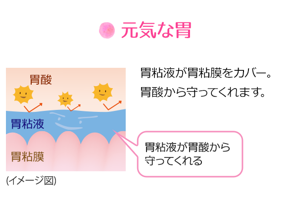 元気な胃：胃粘液が胃粘膜をカバー。胃酸から守ってくれます。(胃粘液が胃酸から守ってくれる)