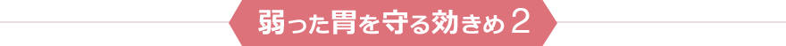 弱った胃を守る効きめ2
