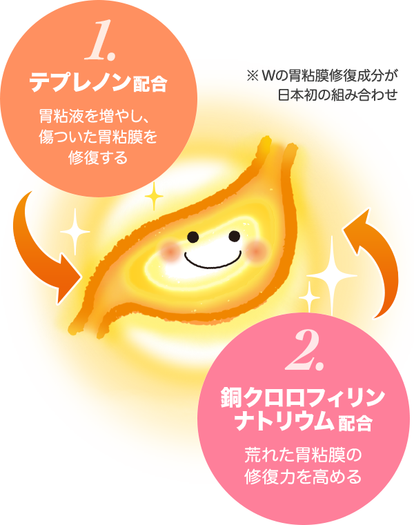 1.「テプレノン配合」胃粘液を増やし、傷ついた胃粘膜を修復する。2.「銅クロロフィリンナトリウム配合」荒れた胃粘膜の修復力を高める。※Wの胃粘膜修復成分が日本初の組み合わせ