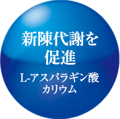新陳代謝を促進 L-アスパラギン酸カリウム