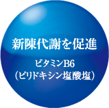 新陳代謝を促進 ビタミンB6（ピリドキシン塩酸塩）
